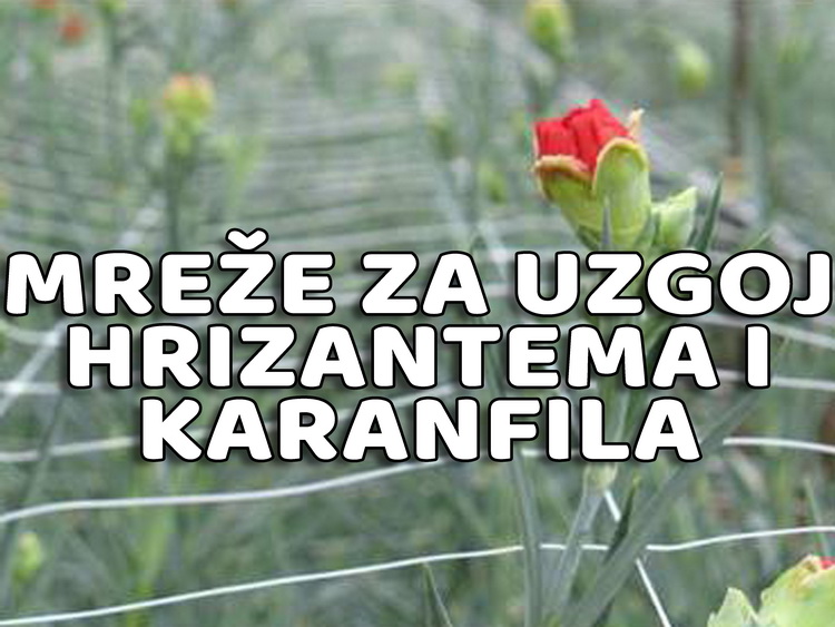 Mreže za uzgoj hrizantema i karanfila — plastične mreže i proizvodi