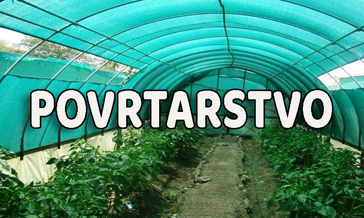 Povrtarstvo — plastične mreže i proizvodi