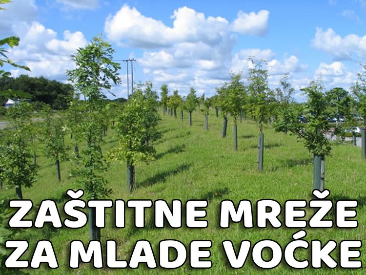 Zaštitne mreže za mlade voćke — plastične mreže i proizvodi