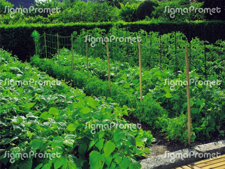 Livena mreža za puzavice – kornišone